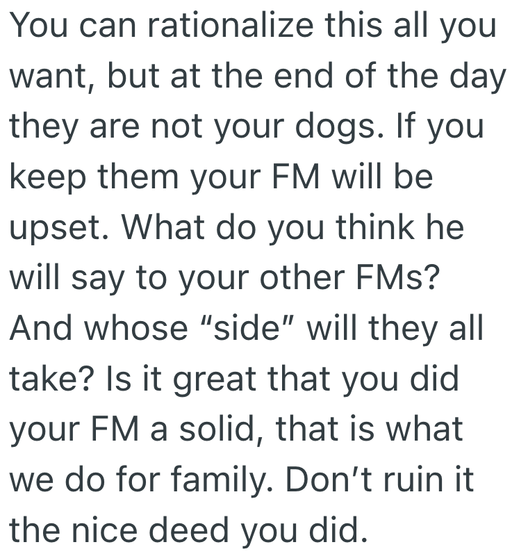 Screenshot 2025 07 08 at 9.06.49 PM They Fostered A Family Members Dogs And Spent Tons On Vet Bills, And Now They Want To Keep Them And Give Them A Better Life